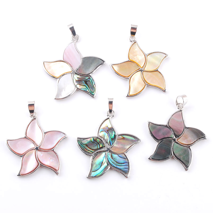 Jewelry Making New Zealand - 5 قطع الطبيعية نيوزيلندا أذن البحر