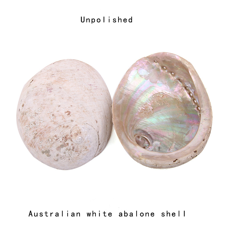 12-16 سنتيمتر الطبيعية نيوزيلن - مراجعة Jewelry Making New Zealand وسعره